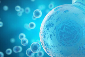 再生医療細胞イメージ